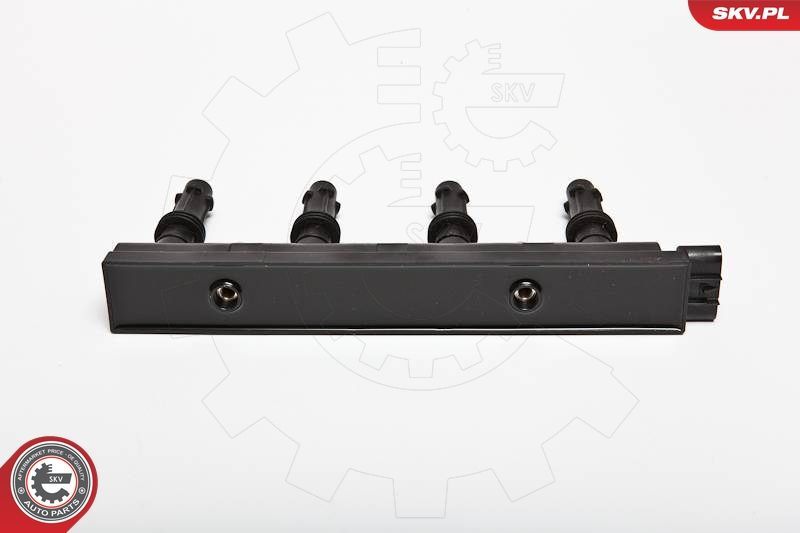 Ritė, uždegimas ESEN SKV 03SKV170