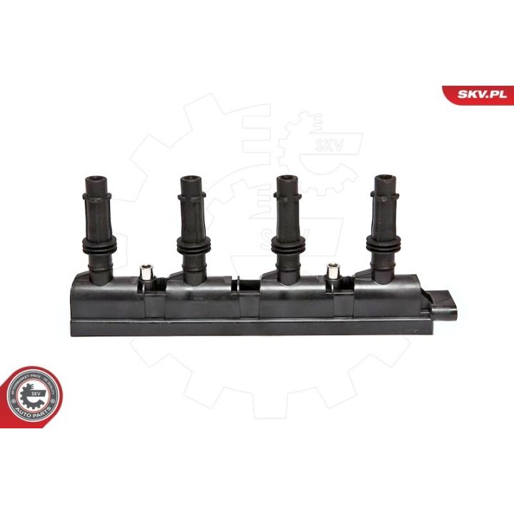 Ritė, uždegimas ESEN SKV 03SKV170