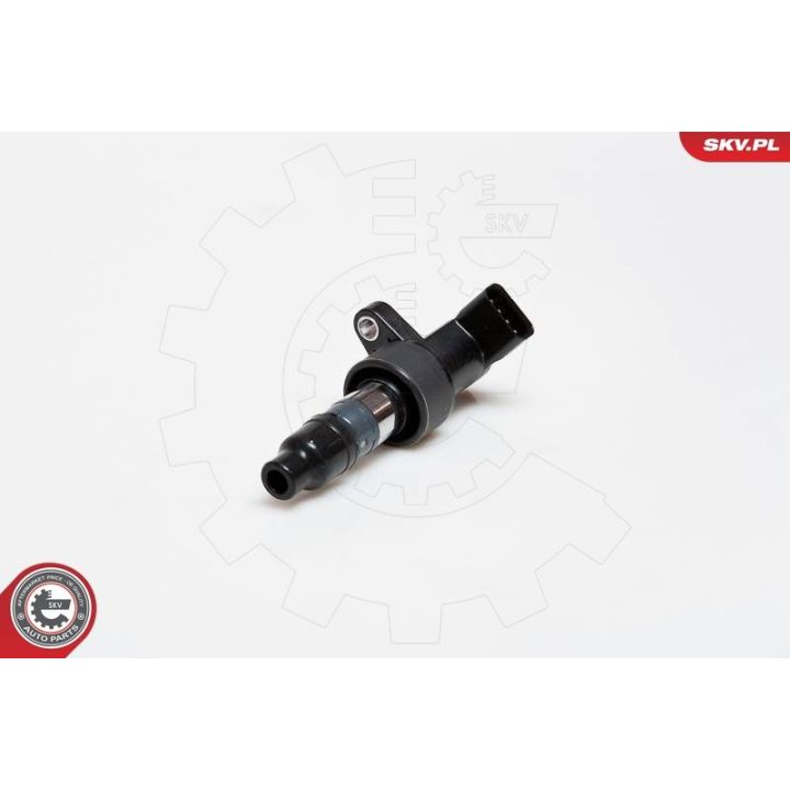 Ritė, uždegimas ESEN SKV 03SKV171