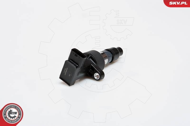 Ritė, uždegimas ESEN SKV 03SKV171