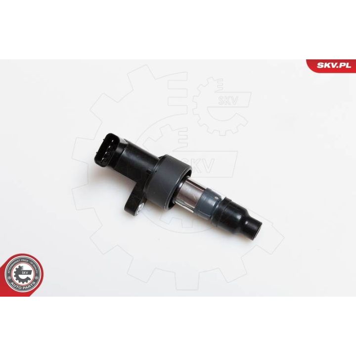 Ritė, uždegimas ESEN SKV 03SKV171