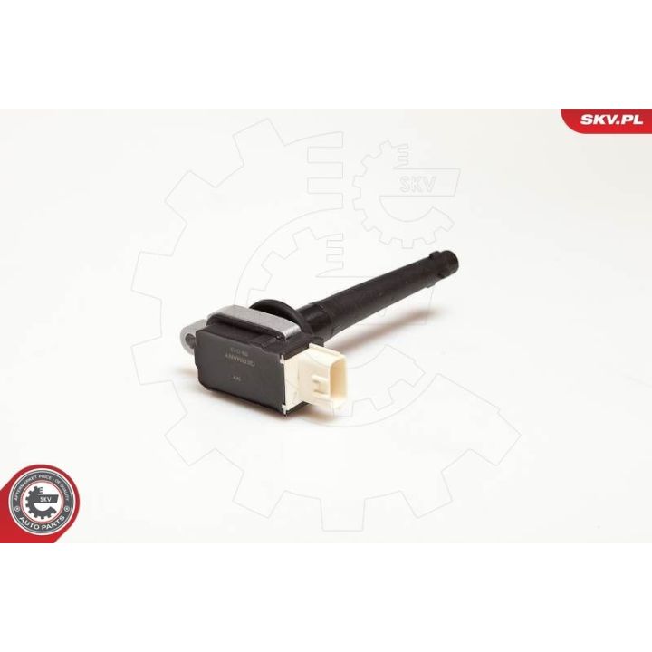 Ritė, uždegimas ESEN SKV 03SKV172