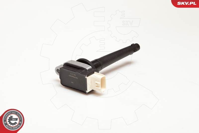 Ritė, uždegimas ESEN SKV 03SKV172