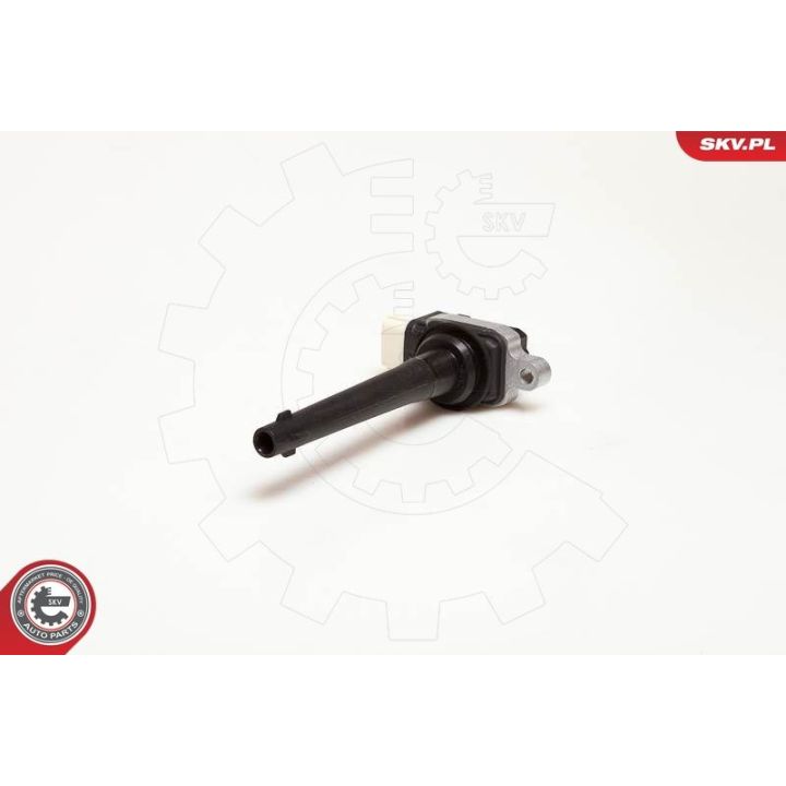 Ritė, uždegimas ESEN SKV 03SKV172