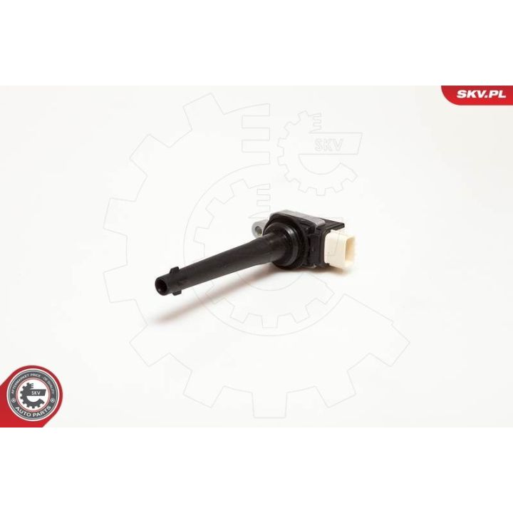 Ritė, uždegimas ESEN SKV 03SKV172