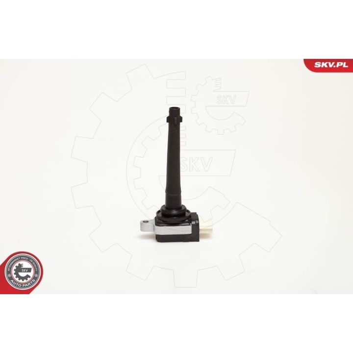 Ritė, uždegimas ESEN SKV 03SKV172