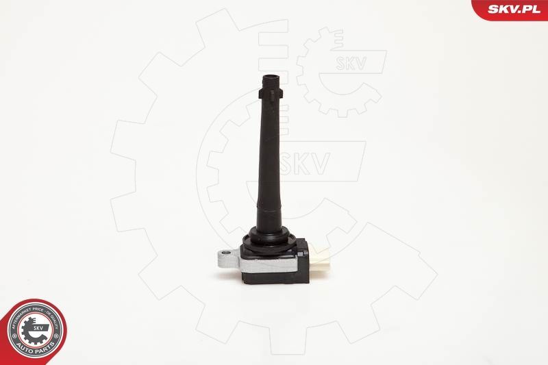 Ritė, uždegimas ESEN SKV 03SKV172