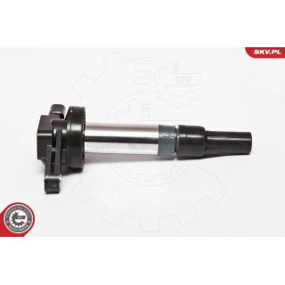 Ritė, uždegimas ESEN SKV 03SKV176