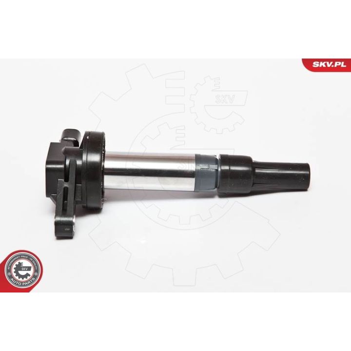 Ritė, uždegimas ESEN SKV 03SKV176