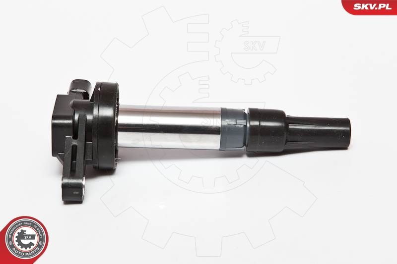 Ritė, uždegimas ESEN SKV 03SKV176