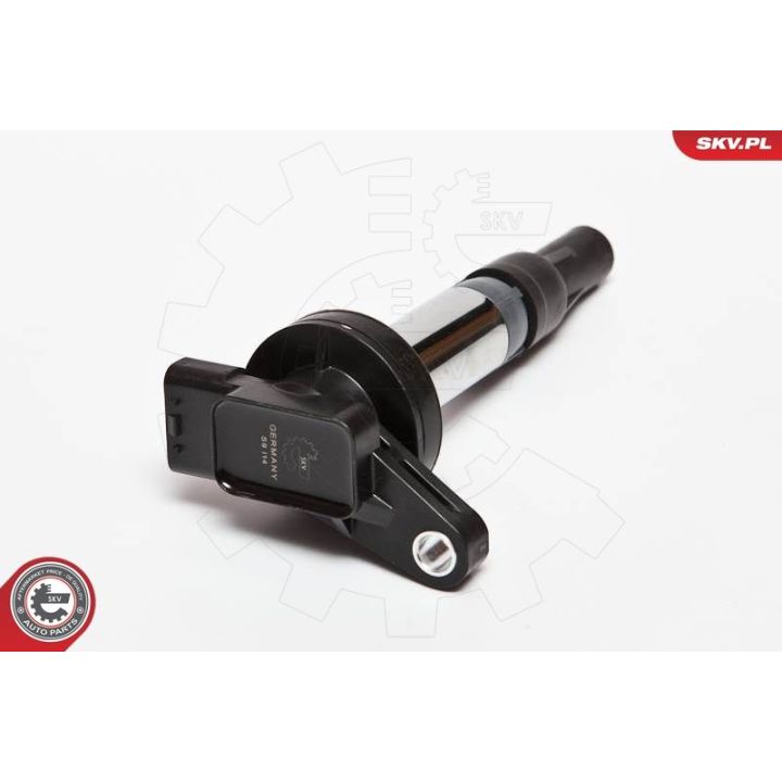 Ritė, uždegimas ESEN SKV 03SKV176