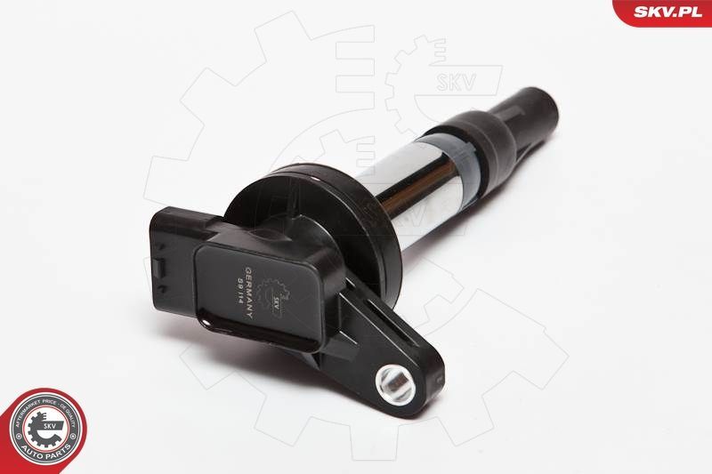 Ritė, uždegimas ESEN SKV 03SKV176