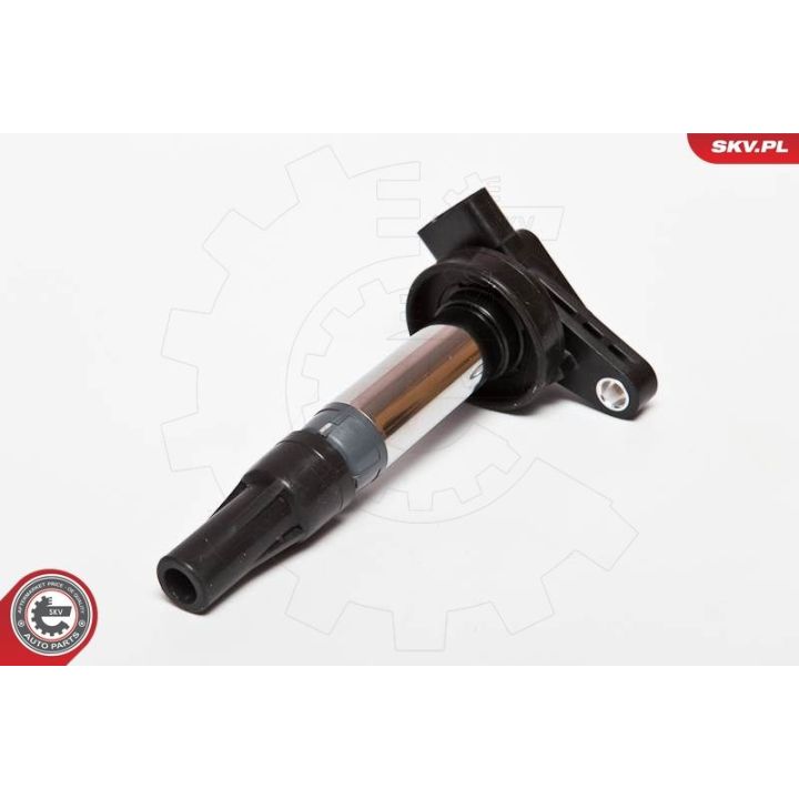 Ritė, uždegimas ESEN SKV 03SKV176