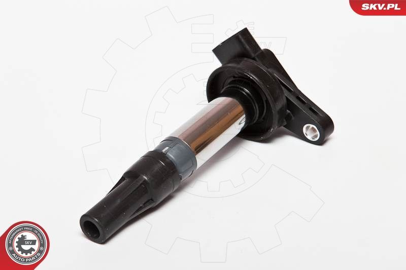 Ritė, uždegimas ESEN SKV 03SKV176