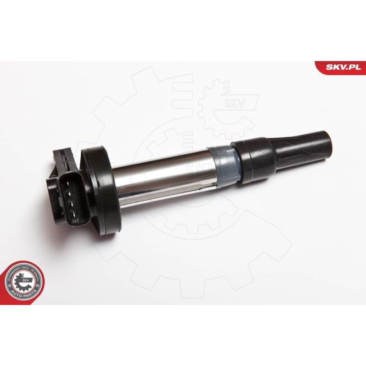 Ritė, uždegimas ESEN SKV 03SKV176