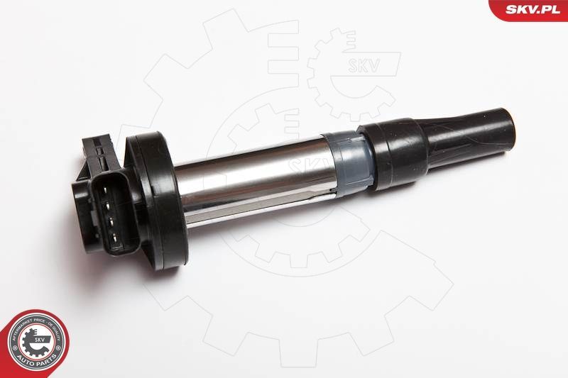 Ritė, uždegimas ESEN SKV 03SKV176