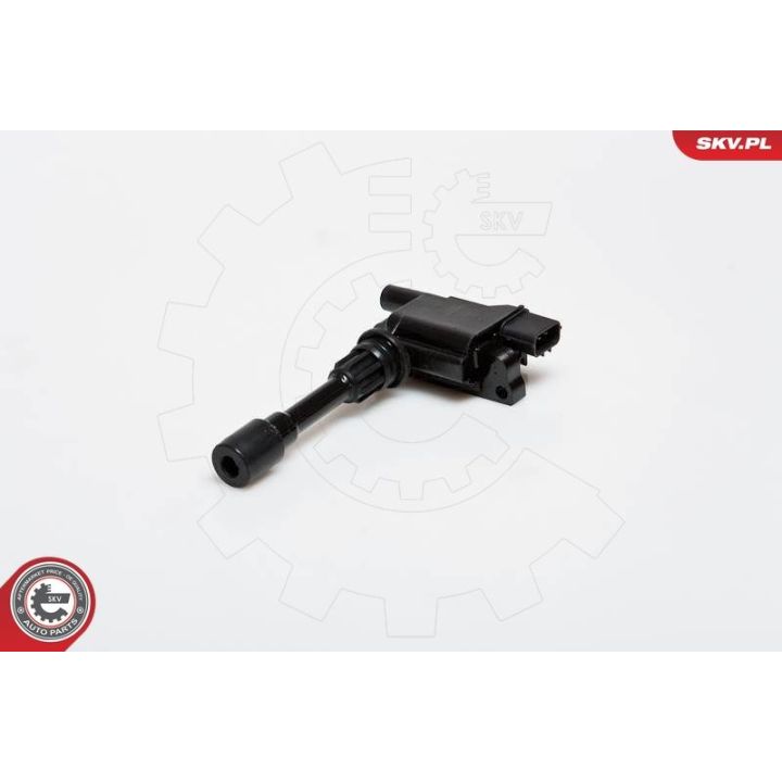 Ritė, uždegimas ESEN SKV 03SKV177