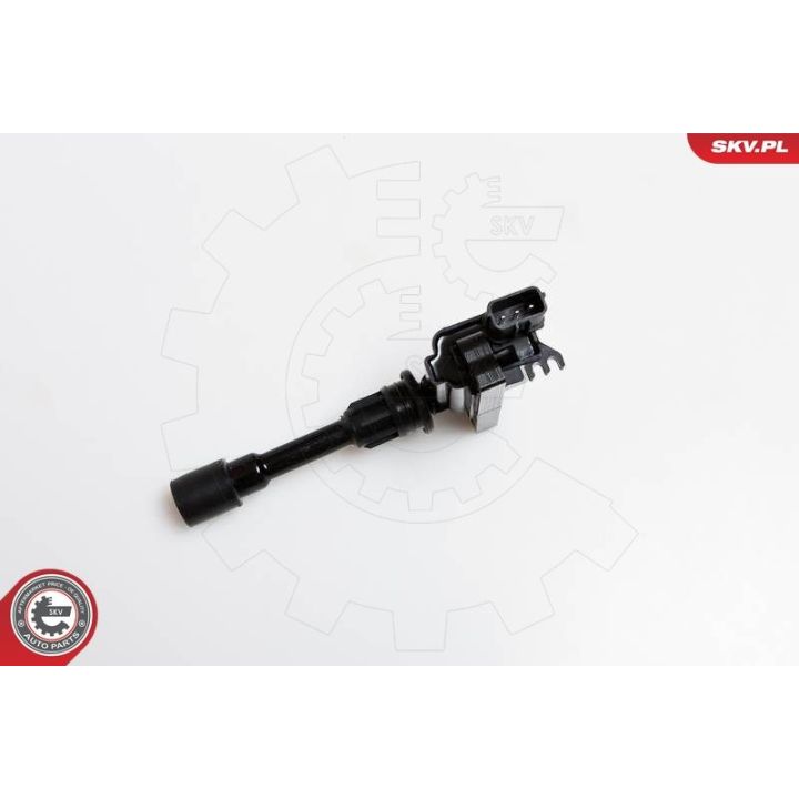 Ritė, uždegimas ESEN SKV 03SKV177