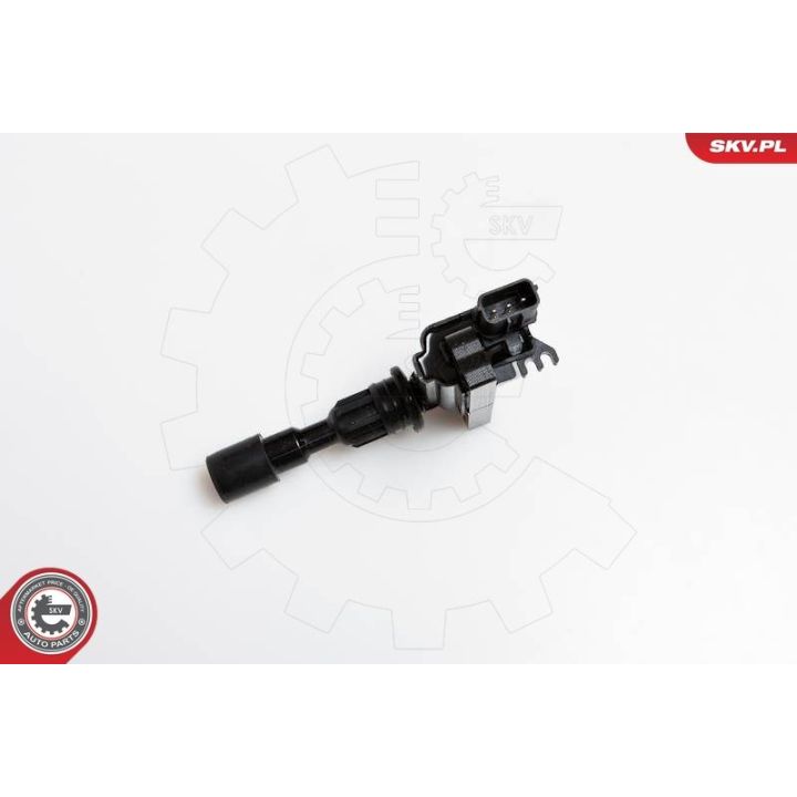 Ritė, uždegimas ESEN SKV 03SKV180