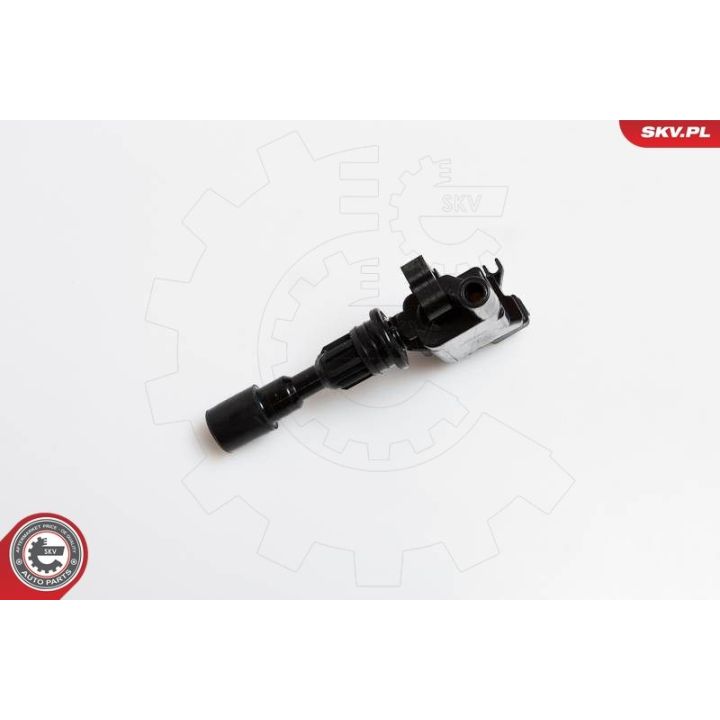 Ritė, uždegimas ESEN SKV 03SKV180