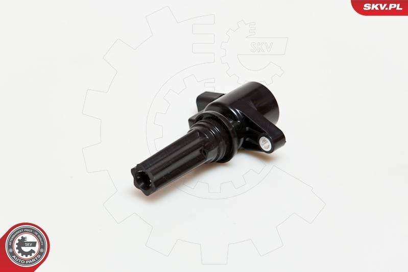 Ritė, uždegimas ESEN SKV 03SKV181