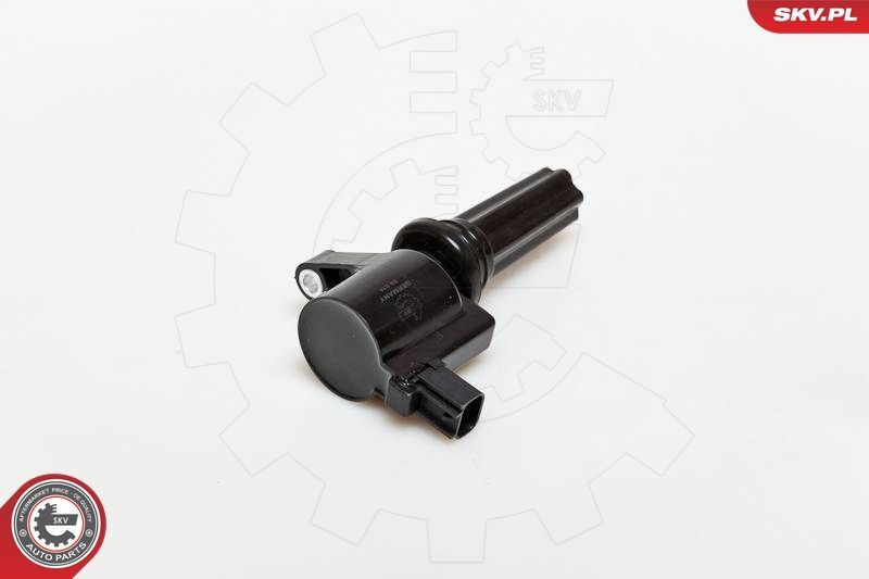 Ritė, uždegimas ESEN SKV 03SKV181