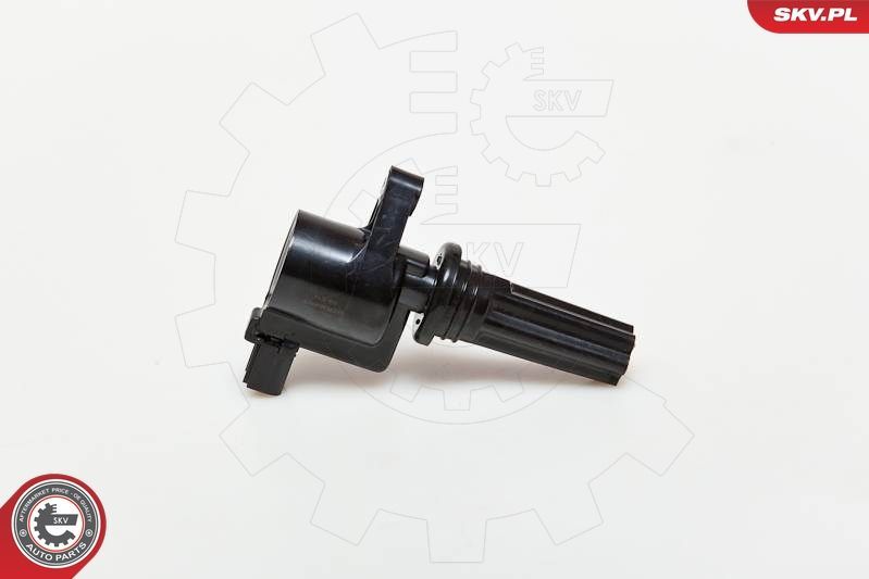 Ritė, uždegimas ESEN SKV 03SKV181