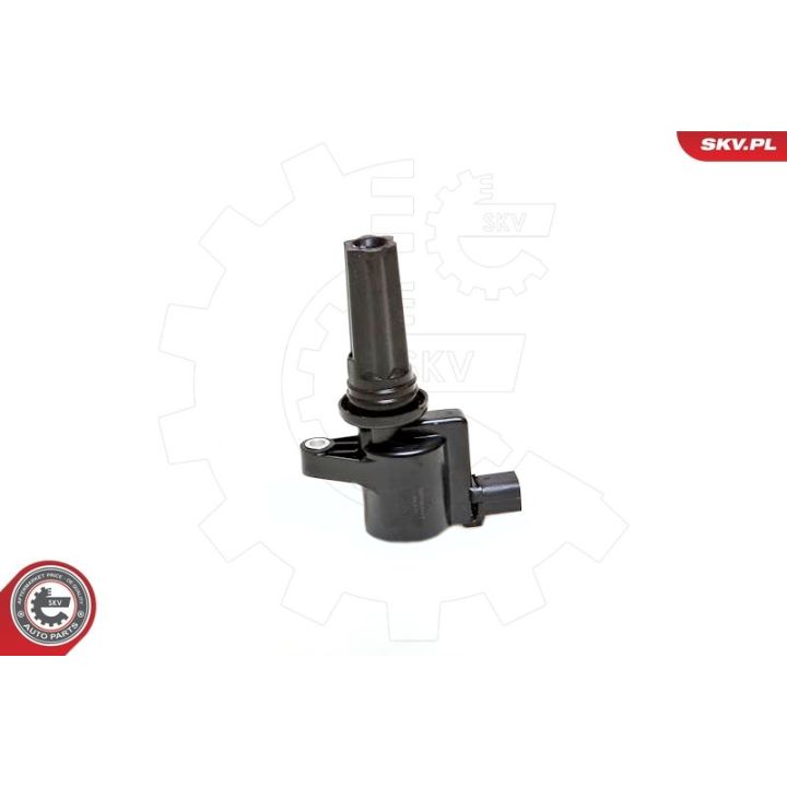 Ritė, uždegimas ESEN SKV 03SKV181