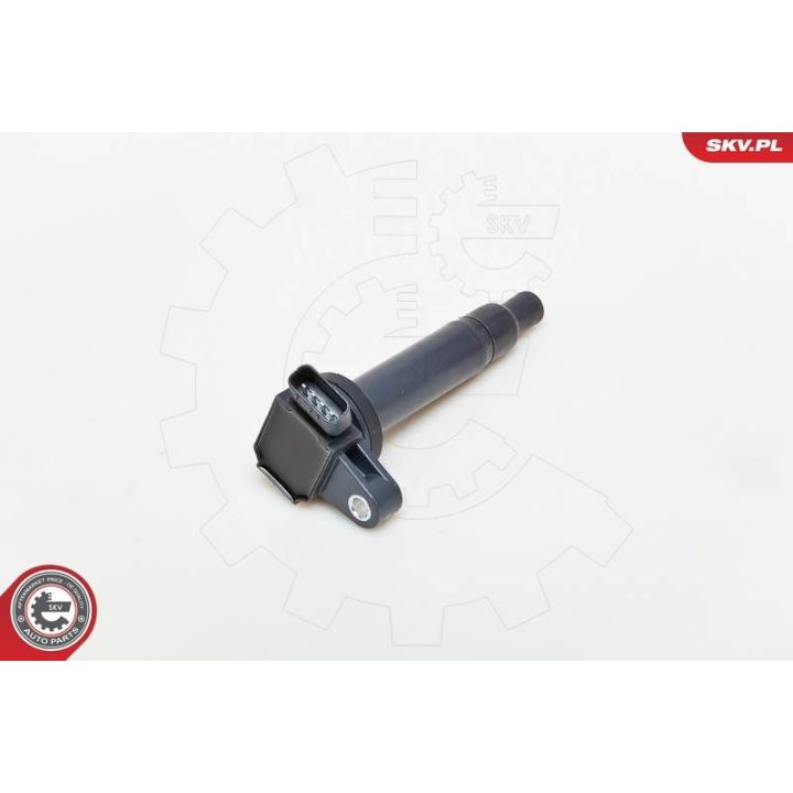 Ritė, uždegimas ESEN SKV 03SKV183