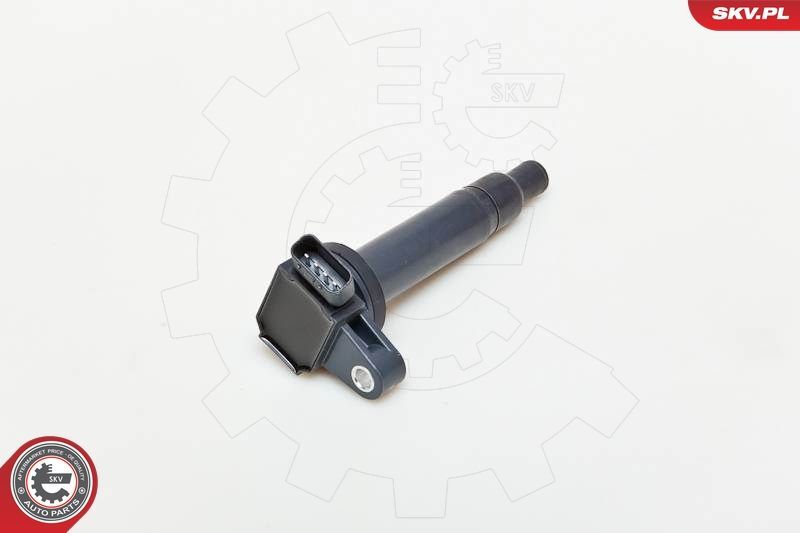 Ritė, uždegimas ESEN SKV 03SKV183