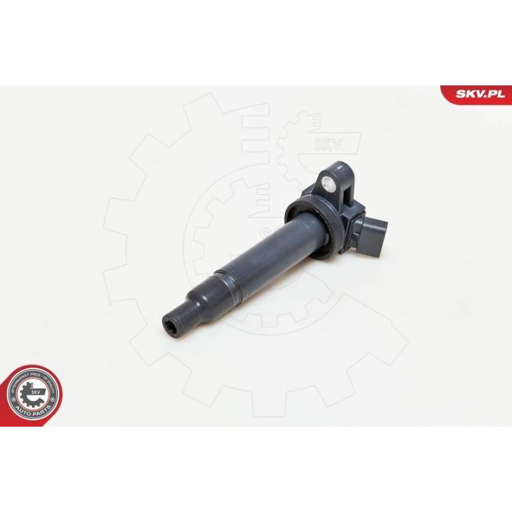 Ritė, uždegimas ESEN SKV 03SKV183