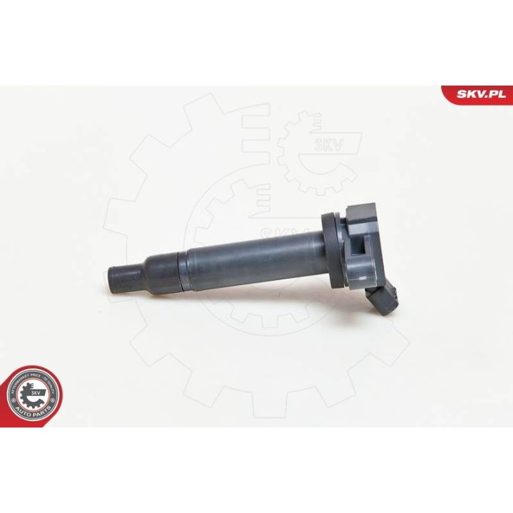 Ritė, uždegimas ESEN SKV 03SKV183