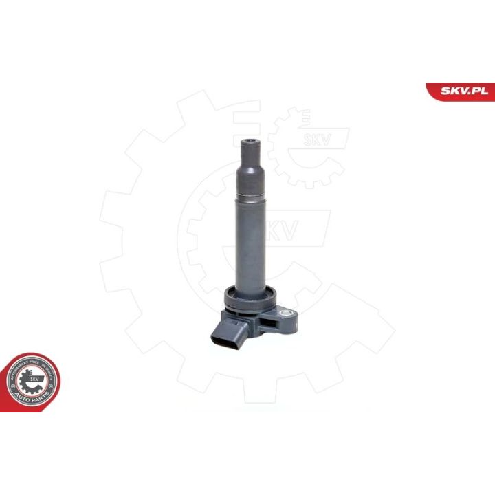 Ritė, uždegimas ESEN SKV 03SKV183