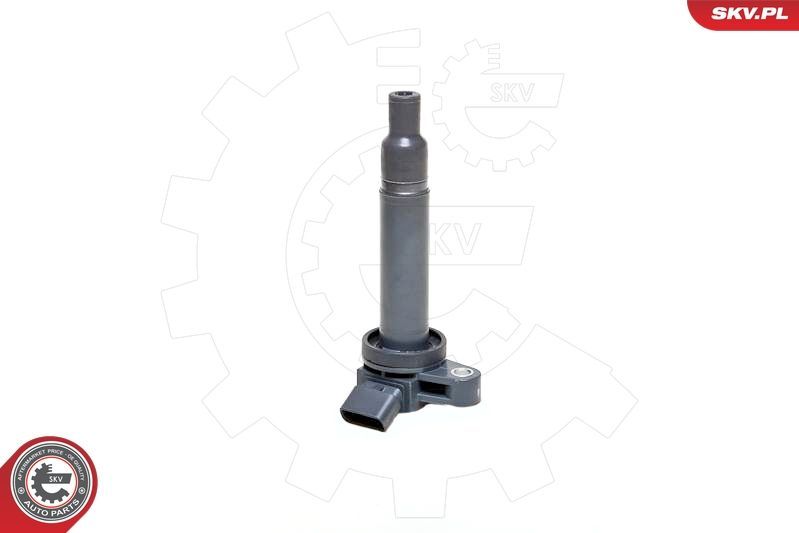 Ritė, uždegimas ESEN SKV 03SKV183