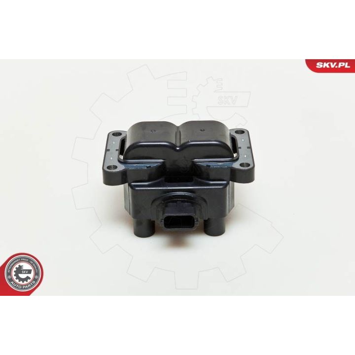 Ritė, uždegimas ESEN SKV 03SKV185