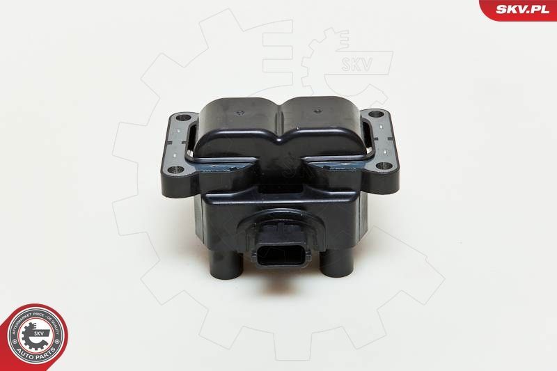 Ritė, uždegimas ESEN SKV 03SKV185