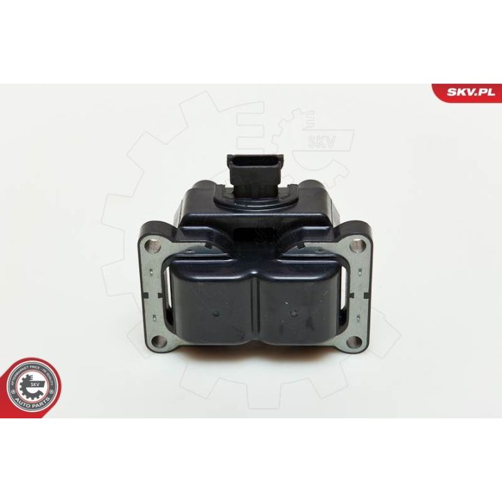 Ritė, uždegimas ESEN SKV 03SKV185