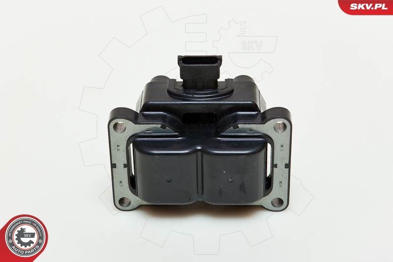 Ritė, uždegimas ESEN SKV 03SKV185