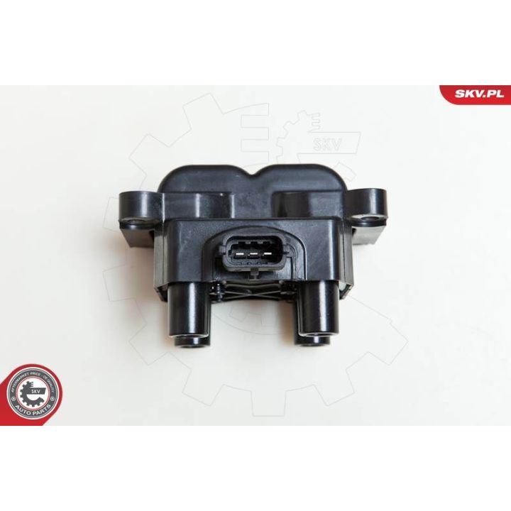 Ritė, uždegimas ESEN SKV 03SKV185