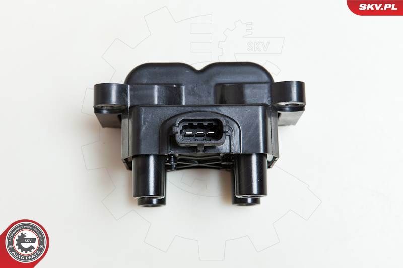 Ritė, uždegimas ESEN SKV 03SKV185