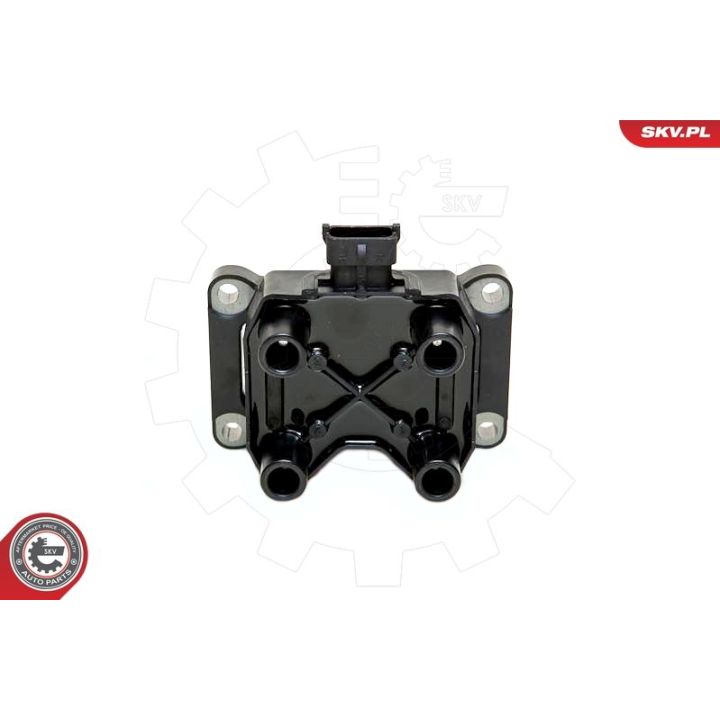 Ritė, uždegimas ESEN SKV 03SKV185