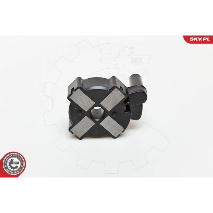 Ritė, uždegimas ESEN SKV 03SKV186