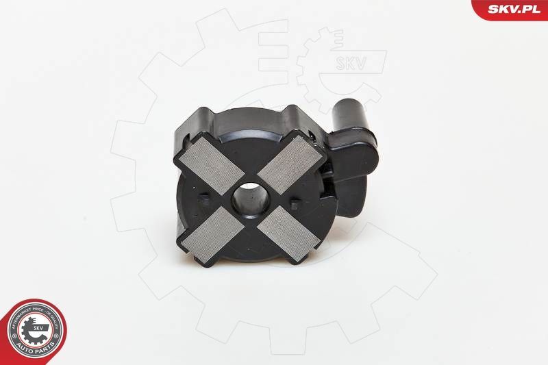 Ritė, uždegimas ESEN SKV 03SKV186