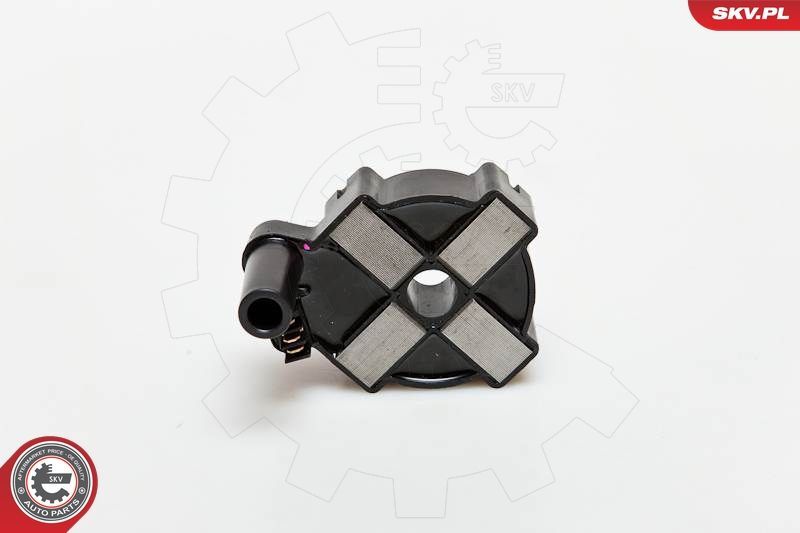 Ritė, uždegimas ESEN SKV 03SKV186