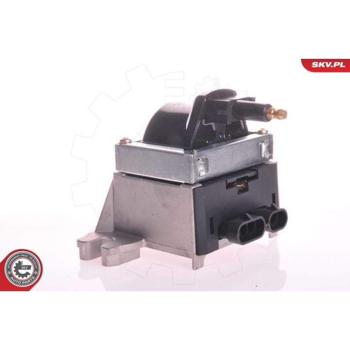 Ritė, uždegimas ESEN SKV 03SKV189