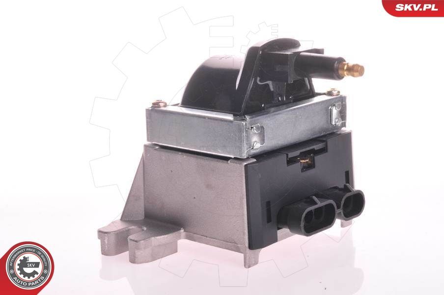 Ritė, uždegimas ESEN SKV 03SKV189