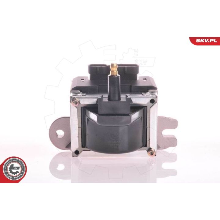 Ritė, uždegimas ESEN SKV 03SKV189