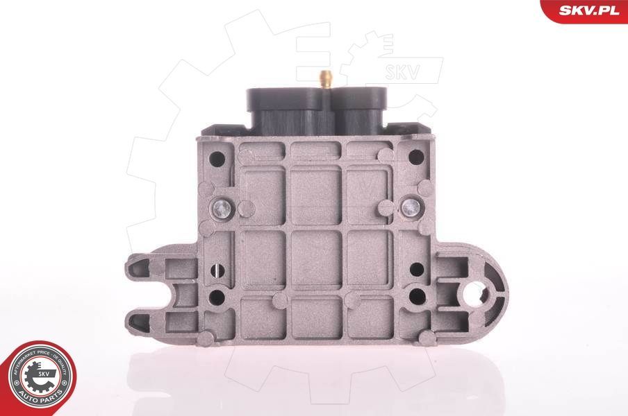 Ritė, uždegimas ESEN SKV 03SKV189