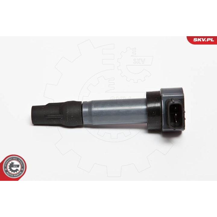 Ritė, uždegimas ESEN SKV 03SKV198