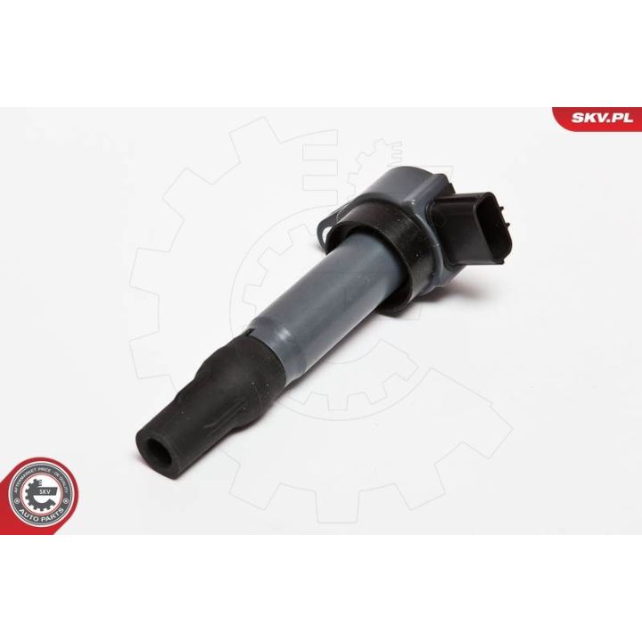 Ritė, uždegimas ESEN SKV 03SKV198